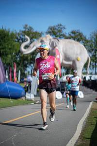 BIB: 
                            <button type="button" onclick="openModal(26542433)" class="btn btn-primary btn-sm float-right btn-popup" data-toggle="modal" data-target=".modal-high-quality">
                        <i class="fas fa-shopping-cart"></i> Add to Cart
                    </button>
                                            <button type="button" onclick="isThisMe(26542433, true)" class="btn btn-success btn-sm float-right btn-popup btn-isme hidden" data-toggle="tooltip" data-placement="bottom" title="นี่คือรูปของคุณใช่ไหม คลิกที่นี่เพื่อเอาเข้าอัลบั้ม">
                        <i class="fas fa-plus"></i> Add to album
                    </button>
                    <button type="button" onclick="isThisMe(26542433, false)" class="btn btn-warning btn-sm float-right btn-popup btn-isnotme hidden">
                        <i class="fas fa-ban"></i> Remove from album
                    </button>